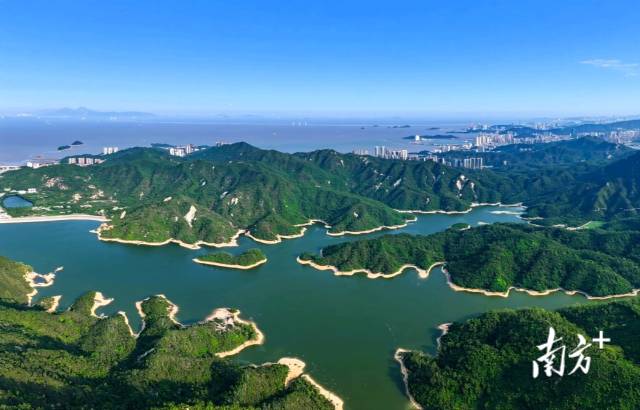 讓四季常青成為珠海最深厚的生態底色。