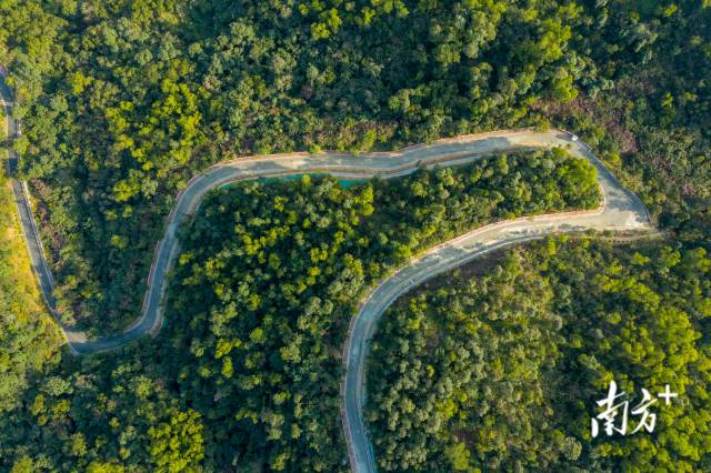 尖峰山森林公園。