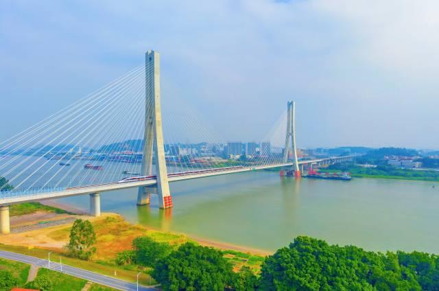 佛山特大橋被譽為“橋梁小博物館”。通訊員供圖