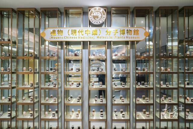 植物（現(xiàn)代中藥）分子博物館