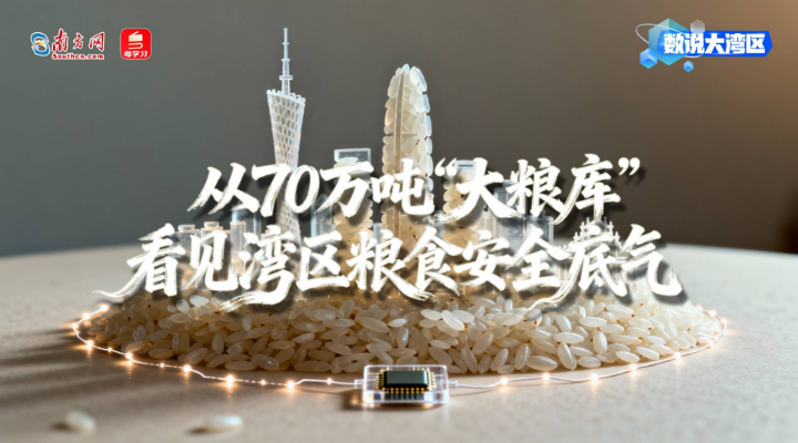 從70萬噸“大糧庫”看見灣區糧食安全底氣