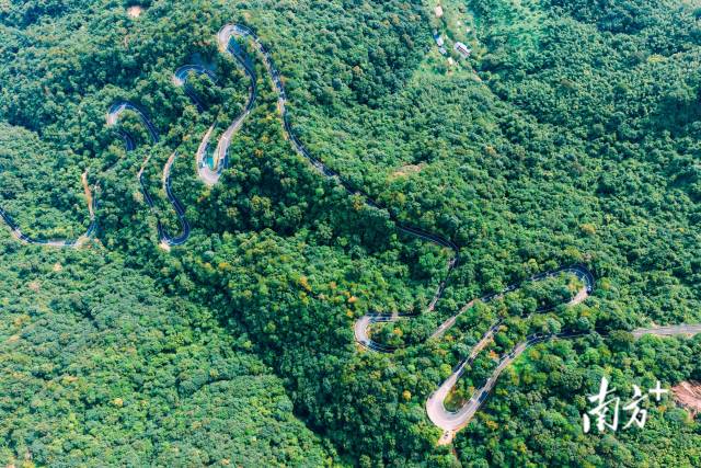 218最美旅游公路建成通車(chē)。 南方+ 梁維春 拍攝