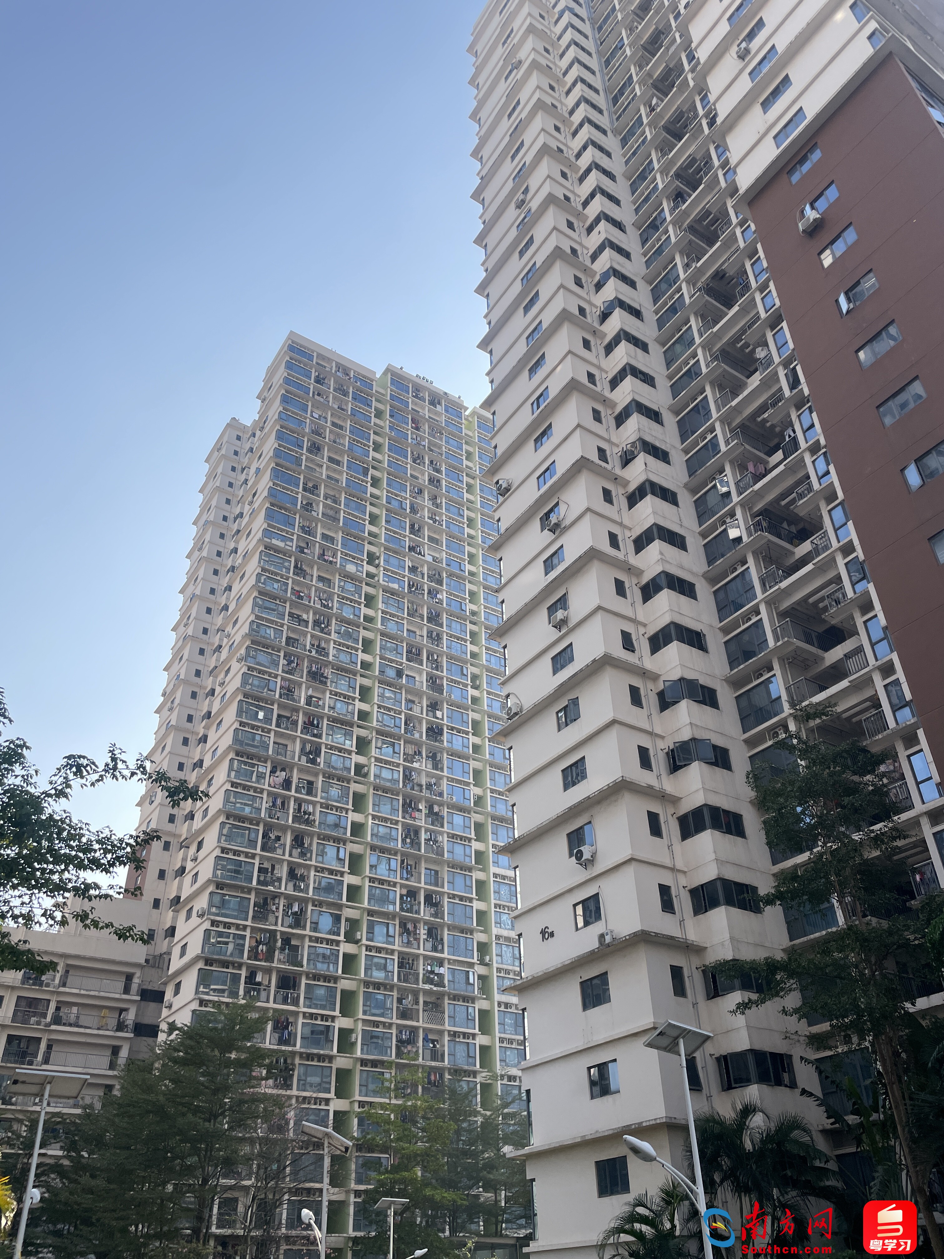 深圳龍海家園密集的樓房。