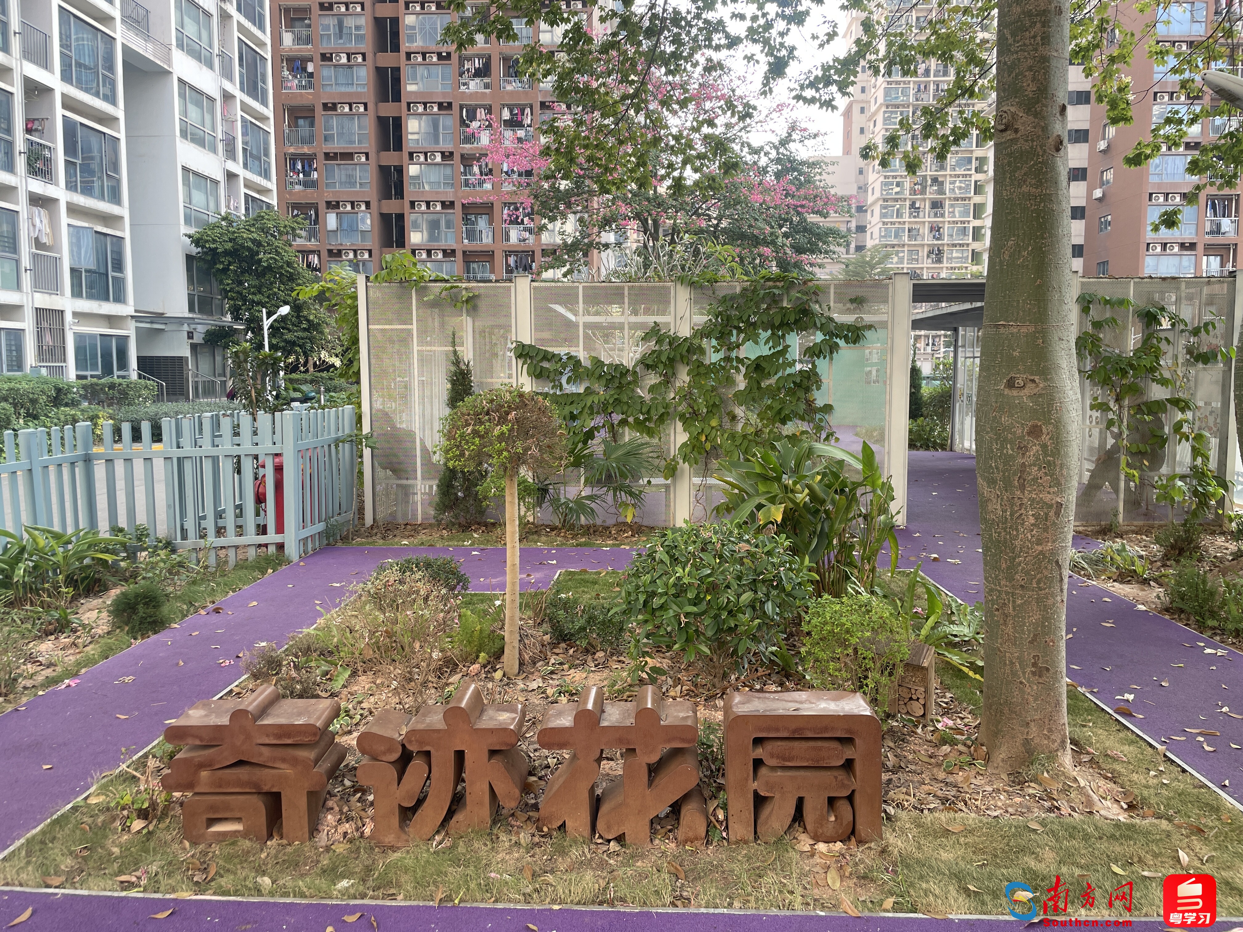 龍海家園里的奇跡花園，是居民們日常休憩聊天的好去處。