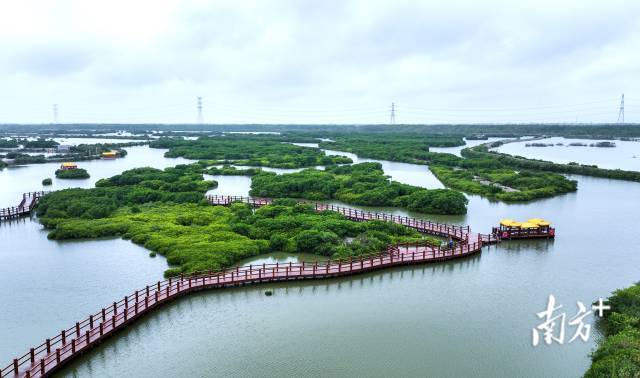 湛江市麻章區金牛島綠美點。
