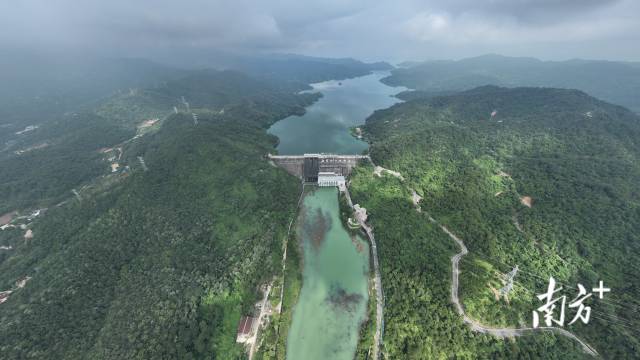 近年來，河源的生態優勢持續鞏固優化，生態屏障的功能日益彰顯。南方+ 張由瓊 攝