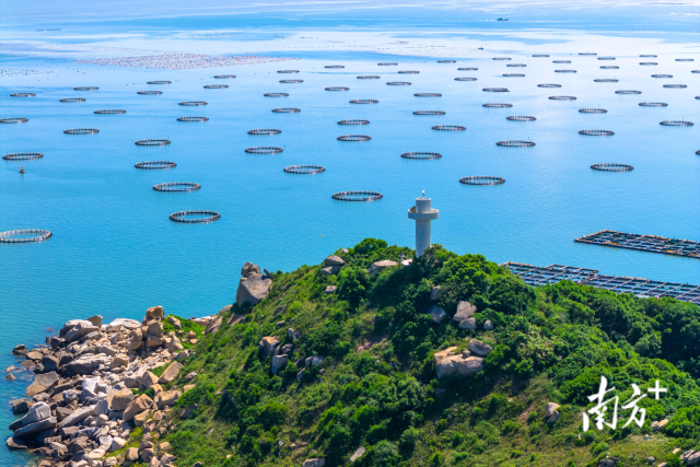 當前，廣東海洋牧場建設正從“近海淺海”向“深遠海”邁進。