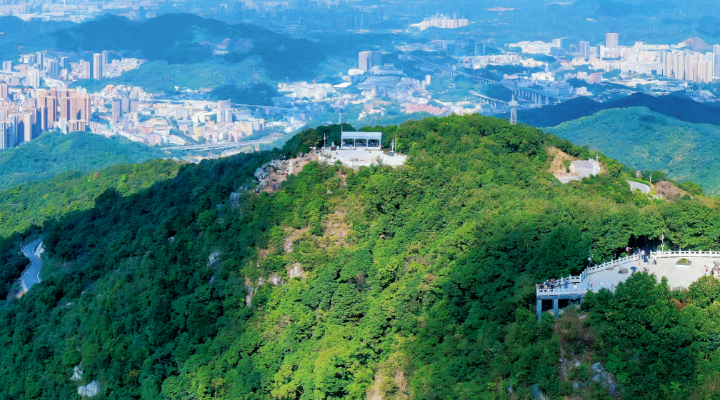 深圳，科技之城也是旅游頂流