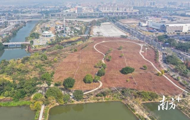 共享陽光草坪為市民提供了露營的理想場所。 南方+ 葉志文 攝