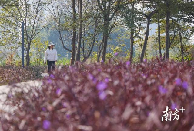 公園設計突出“生態”主題，保留了較多天然風貌。 南方+ 葉志文 攝
