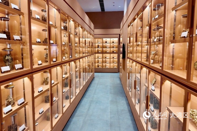 圖3.中藥標本館目前展出約3500份標本。人民網 實習生張雨潔 攝