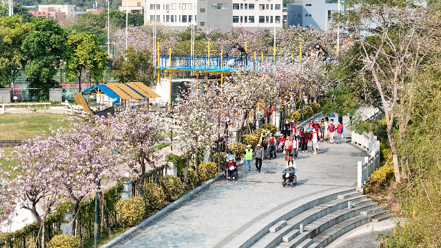 中山市頤康老年服務中心組織的長者活動。受訪單位供圖