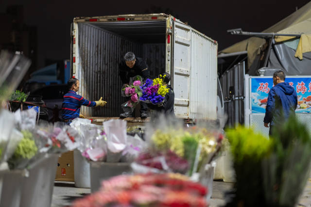 凌晨的灣仔碼頭燈火通明，鮮花銷(xiāo)售從業(yè)者三五成群，各自忙著拆分、包扎、裝箱。