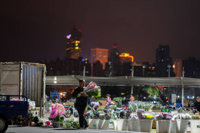 天亮后，灣仔碼頭的花將被送往澳門(mén)的各家各戶。