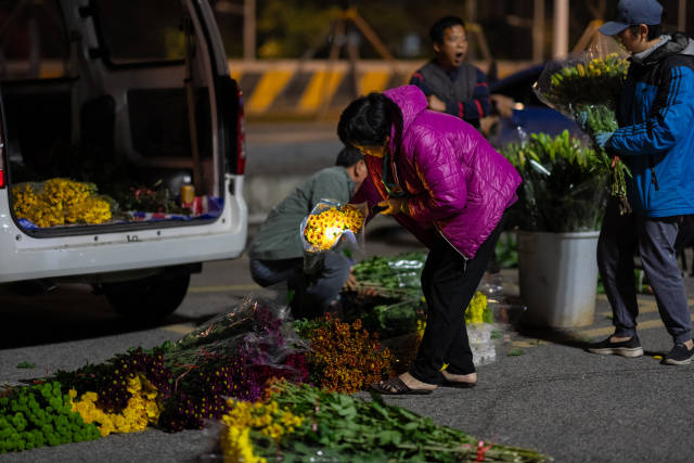 一位阿姨打著燈挑選花。