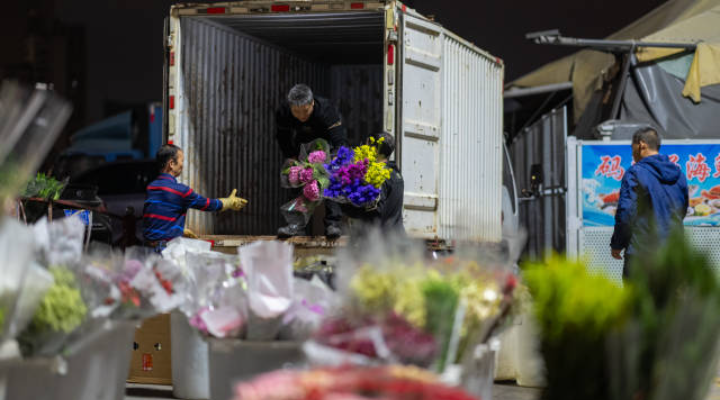 珠澳雙城“賣花記”