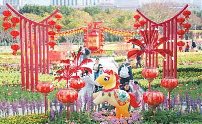 為迎接農(nóng)歷新年到來(lái)，澳門(mén)市政署近日在氹仔龍環(huán)葡韻舉行慶新春主題花展，花展以馬年裝飾為主題，讓市民及游客感受濃厚的新春節(jié)日氣氛。圖為市民在新春主題花展上參觀。張金加攝（新華社發(fā)）