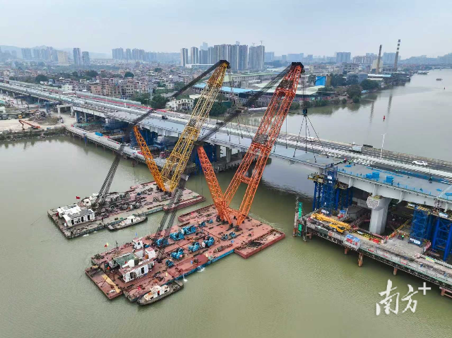 東洲河大橋保通側鋼梁架設完成。