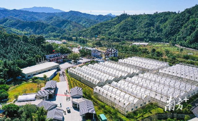 縣域現代化產業體系