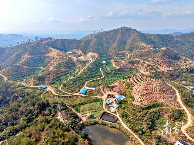 縣域產(chǎn)業(yè)園區(qū)