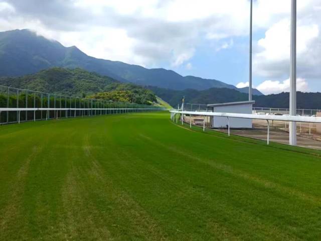 從化馬場(chǎng) 界面新聞?dòng)浾吲臄z