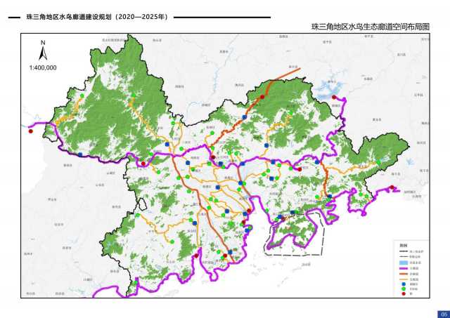 胡慧建團隊設計的珠三角地區水鳥廊道建設規劃