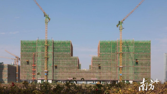 東莞濱海灣AI智創園項目