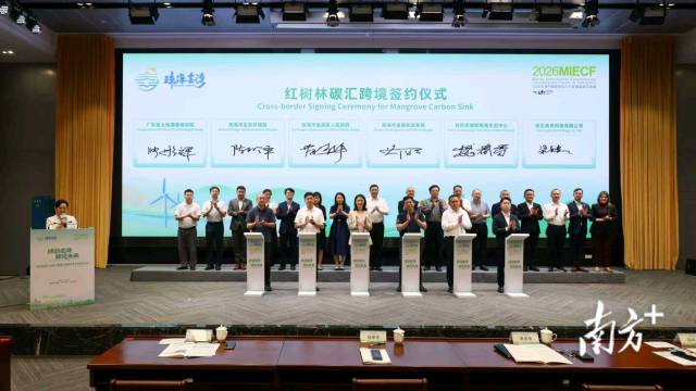 全國首單紅樹林碳匯跨境開發合作項目正式簽約。 南方+ 關銘榮 拍攝